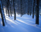 1 Moraine Hills State Park