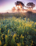 September, Glacial Park