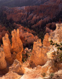 Brtyce Canyon, Utah