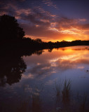 Snug Harbor, McHenry, IL