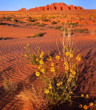 San Rafael Desert, HWY 24, UT