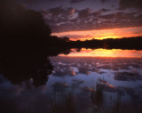 Snug Harbor, McHenry, IL