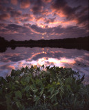 Snug Harbor, McHenry, IL