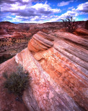 Calf Creek NRA overlook