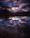 Glacial Park sunrise, McHenry Co