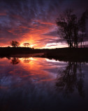 Glacial Park sunrise, McHenry Co