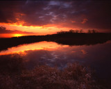 Glacial Park sunrise, McHenry Co., IL