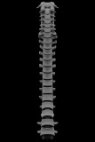 r45.jpg