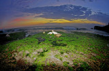 Ducks at Thanh Lot Sunset