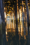 Haines Boat Dock