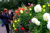 Butchart Gardens