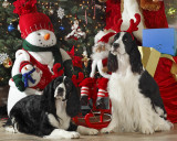 Georgio & Armani Xmas
