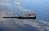 The Log