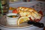 Lobster any one?