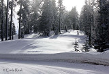 Wintery day