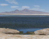 W-2009-08-19 -2371- Atacama - Alain Trinckvel.jpg