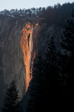 W-2011-02-09-0426- Yosemite -Photo Alain Trinckvel.jpg