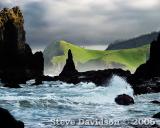 DSC07805w.jpg