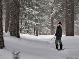 Wanda Snowshoeing 12_27_08.jpg