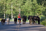 Wanda and the Cattle Drive 07_22_09.jpg