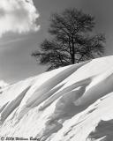 Extreme Avalanche Danger 01_04_06.jpg