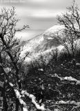 Winter's Grip 03_09_06.jpg