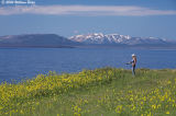 Wanda at Yellowstone Lake  07_10_06.jpg