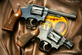 Smith  Wesson MP 03_14_08.jpg