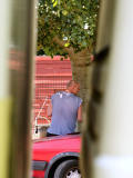 Furtive Picture