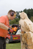 Carve Carrbridge 2009