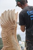 Carve Carrbridge 2009