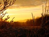 2nd February Sunset