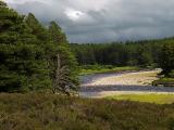 19th May River Dulnain