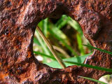 1st June Rust and Green