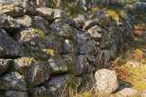 Loch an Eilean Wall