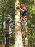 Climbing