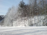 DSC01078-1.JPG