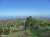 Adelaide - Mount Lofty and Cleland Wildlife4.jpg