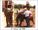 elephant.ride.1984.jpg