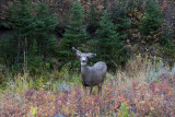IMG_9961.jpg