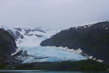 IMG_0984.jpg