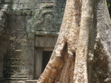 Angkor et encore