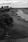 IMGP4186-01w.jpg
