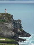 Taiaroa Head 40839-web.jpg