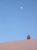 Contemplative