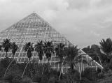 Glass Pyramid