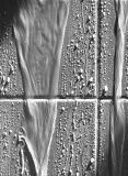 Shower Abstract