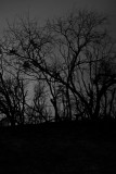 Cemetery At Night