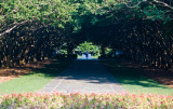 Path To The Fountain