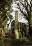 Cornish Castle